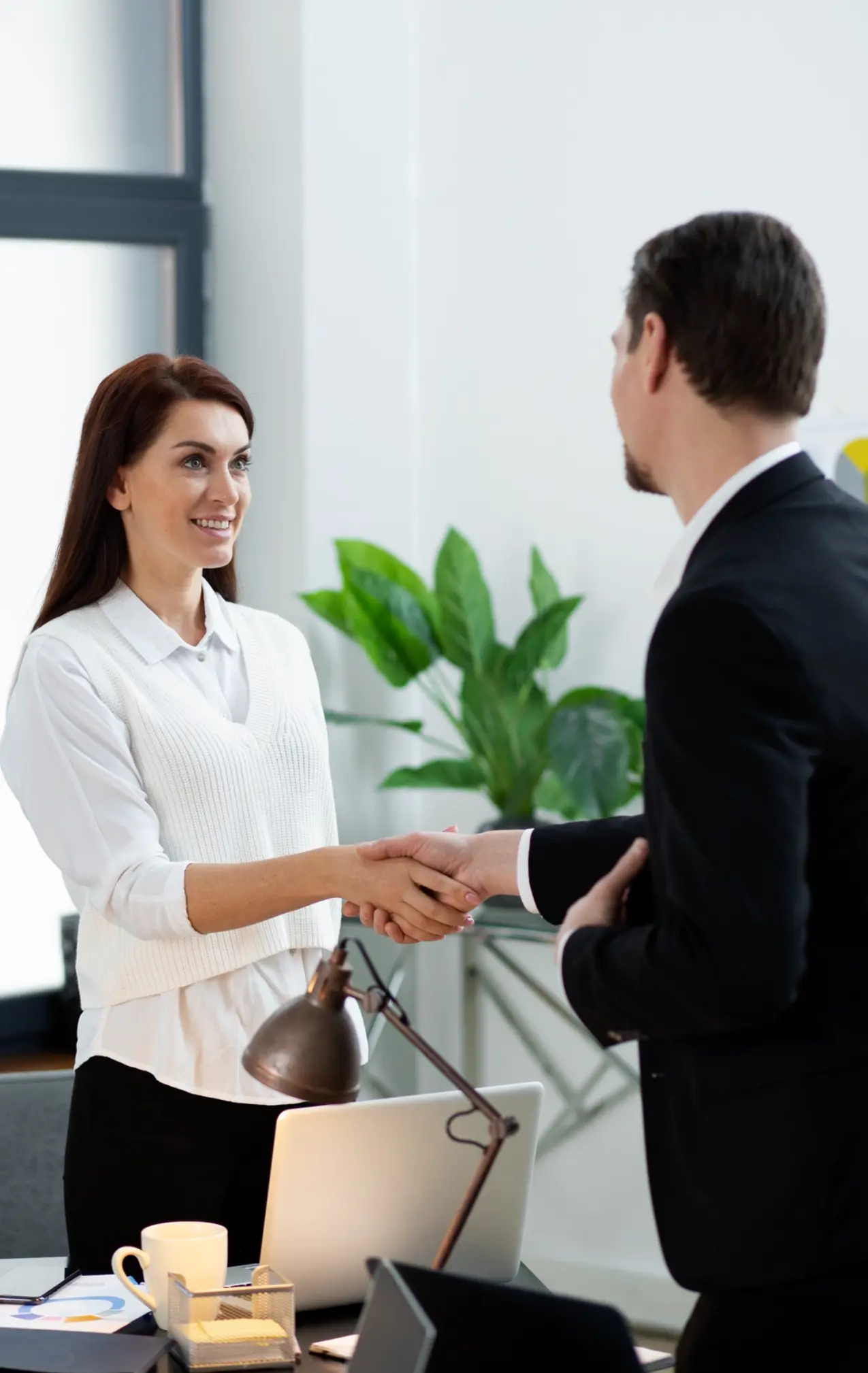 Veelgestelde vragen Snelgevel